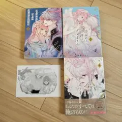 花秘める君のメテオール 2～4
