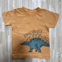 Ampersand ステゴサウルス 恐竜 Tシャツ サイズ 100
