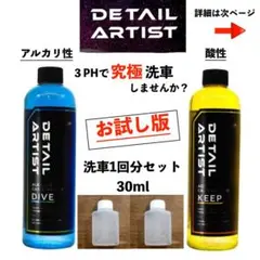 新品未使用 ディテールアーティスト 3点セット Amazon.co.jp: 【DETAIL ARTIST】3pH洗車セット「3種類の