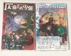 仄見える少年　1巻 2巻 初版　未開封　アニメイト特典付き