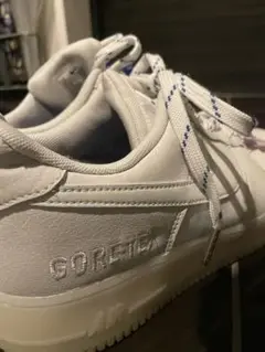 Nike Air Force 1 Low GORE-TEX ADERERROR