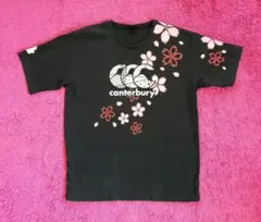 カンタベリー メンズ 3L 日本代表 桜 ブレイブブロッサムズ Tシャツ