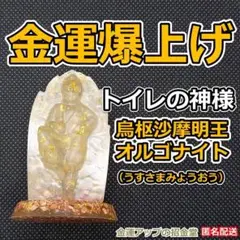 海外輸入 インボイス 浄化スプレー金運アップGold2本×烏枢沙摩明王×八角形オルゴ その他
