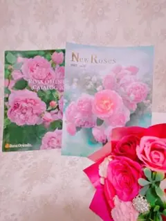 Item thumbnail for item 88d0b54b-12ef-4127-904d-59b540876a71