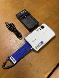 Item thumbnail for item a72145ff-1980-45fe-ab7e-2bd562eb8e95