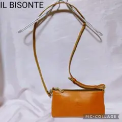 【極美品】IL BISONTE / イルビゾンテ クロスボディバック レザー