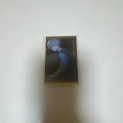 現代史の生徒様　専用