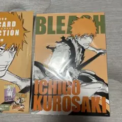 BLEACH アートカード 黒崎一護
