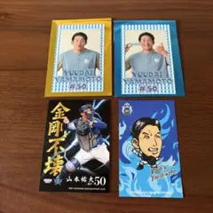 山本祐大　フォトカードセット