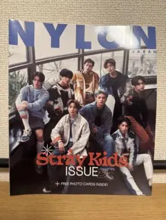 Stray Kids スキズ　ナイロンジャパン　雑誌