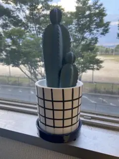 気化式エコ加湿器 サボテン型