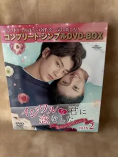 イジワルな君に恋をした コンプリートシンプルDVD BOX 2 正規版