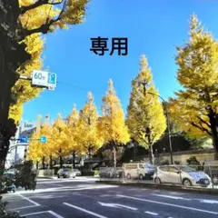 Item thumbnail for item 30e05933-e917-4f11-adfe-89820382546e