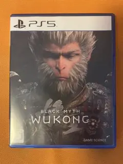 PS5 黒神話:悟空 BLACK MYTH WUKONG