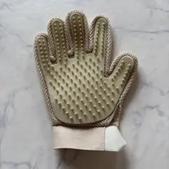 Item thumbnail for item 06a12a92-59a7-4b79-9461-90947a00ea50