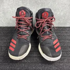 adidas アディダス　D Rose 7 AWAY 28 バッシュ　スニーカー adidas アディダス D Rose 7 AWAY 28 バッシュ スニーカー