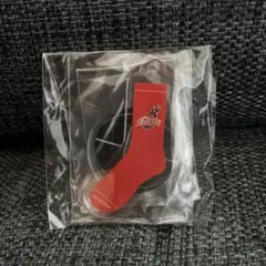 大阪エヴェッサ　キーホルダー