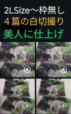 2Lサイズ フレーム無しを …美人仕上げ