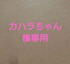バナナチップス セットアップ 150cm