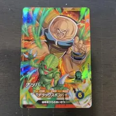 ナッパ SDV1-062