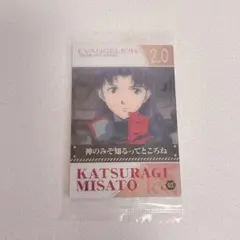 Item thumbnail for item 673c567f-cbc2-4f81-98d2-e7802f78142f