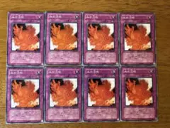 遊戯王⭐️血の沼地⭐️ノーマル8枚セット⭐️美品