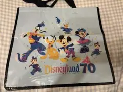 ★日本未発売★カリフォルニアディズニー70周年エコバッグ