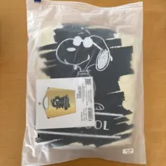 ボールアンドチェーン　SNOOPY名古屋限定　PEANUTS ゴールドMサイズ ボールアンドチェーン スヌーピー ピーナッツ ゴールド 名古屋