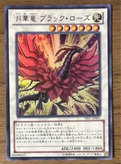 遊戯王　月華竜ブラックローズ
