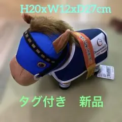 レモンポップ号　2024 winner