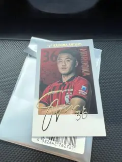 鹿島アントラーズ インスタントフォトカード