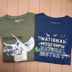 トリケラトプスとナチュラルヒストリー半袖Tシャツセット★140cm★タイムセール