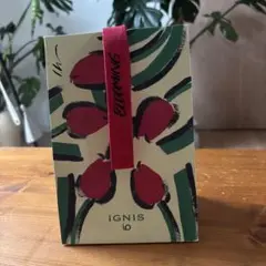 イグニスshop袋