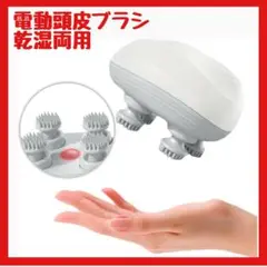Item thumbnail for item 1a24eaef-72df-4fe9-b8aa-7dc7c5f1f283