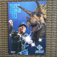 群司祐也 30 トレーディングカード