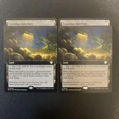 MTG ユーミディアンの孵化場　英語版　拡張　2枚セット　久遠の終端