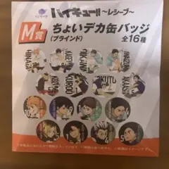 ハイキュー　一番くじ　レシーブM賞　岩泉2種類