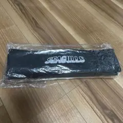 岡山シーガルズクッション