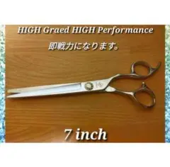 Item thumbnail for item 02d816ba-2f9e-4b20-8abf-b3254ad8f723