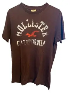 Hollister ブラウン Tシャツ