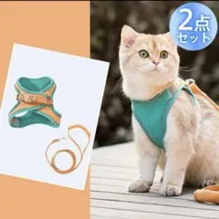 Item thumbnail for item e739e289-8d5e-4250-97a9-a3cc79aa65cc
