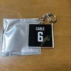 Item thumbnail for item e67afaf8-c15d-4f3e-a093-0dc008adf537