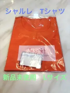 新品未使用 CHARLE Tシャツ L