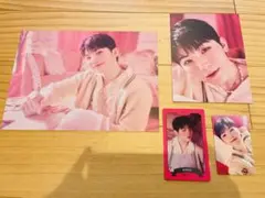 seventeen シーグリ　ウジ