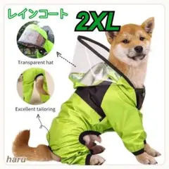 Item thumbnail for item 93634e49-aa93-4282-b659-7f10c209ffbd