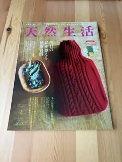 イイダ傘店オリジナルポチ袋付録付き天然生活2020.2月号