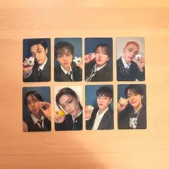 Stray Kids スキズ skzoo たまごっち トレカ 8枚セット