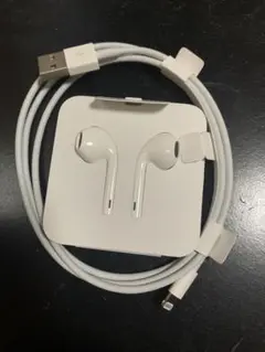 アップル純正ケーブルとイヤホンです