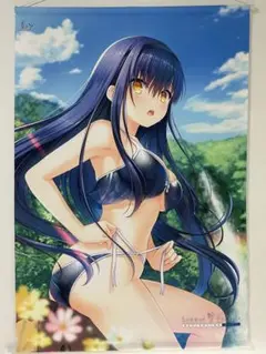 Summer Pockets 久島鴎 描き下ろし特大タペストリー Summer Pockets REFLECTION BLUE]B2タペストリー（久島鴎