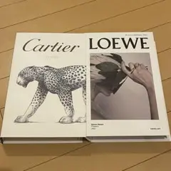 Item thumbnail for item 0f23f9df-8a46-4102-b084-e58596bb6a84